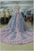 Princess Pretty Light Blue Ball Gown Long Backless Quinceanera Wedding Gowns WK127