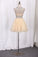 Homecoming Dresses Scoop A-Line Beaded Bodice Tulle Short/Mini