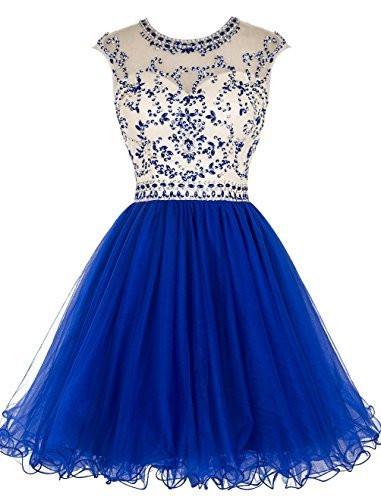 Short Beading Prom Dress Tulle Scoop Cap Sleeve Royal Blue Evening Dress Hollow Back WK921