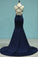 Spandex Prom Dresses Spaghetti Straps Mermaid With Applique