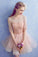 Cute A Line Half Sleeve Pink Round Neck Tulle Homecoming Dresses with Lace, Prom Dress PW823