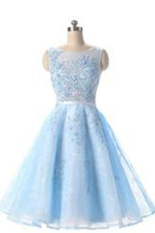 Charming Elegant Light Blue Tulle Prom Dress Short Homecoming Dress Prom Dresses WK732