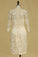 New Arrival V Neck Mother Of The Bride Dresses Sheath Satin With Applique