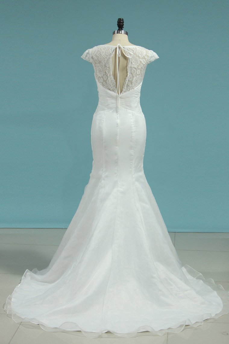 Mermaid Wedding Dresses V-Neck Organza With Lace