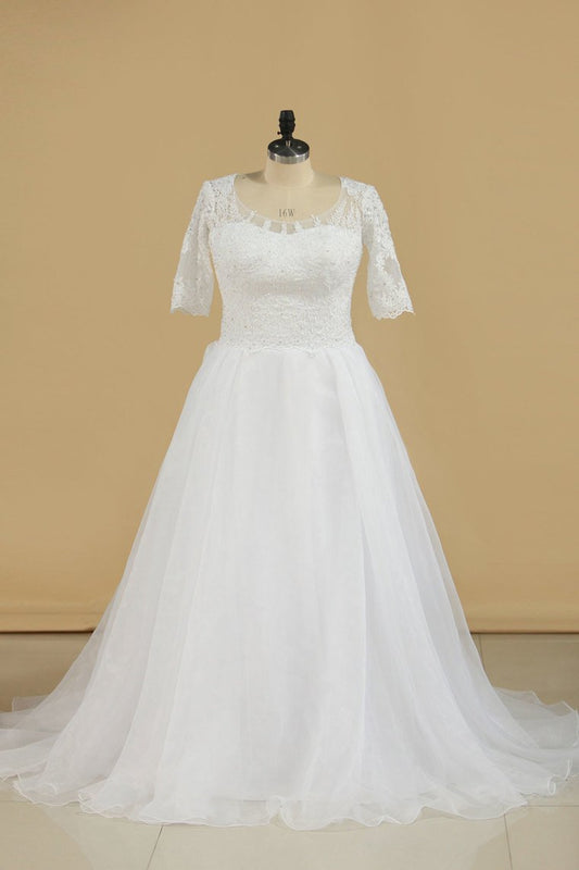 Mid-Length Sleeves Scoop Wedding Dresses A Line With Applique Organza