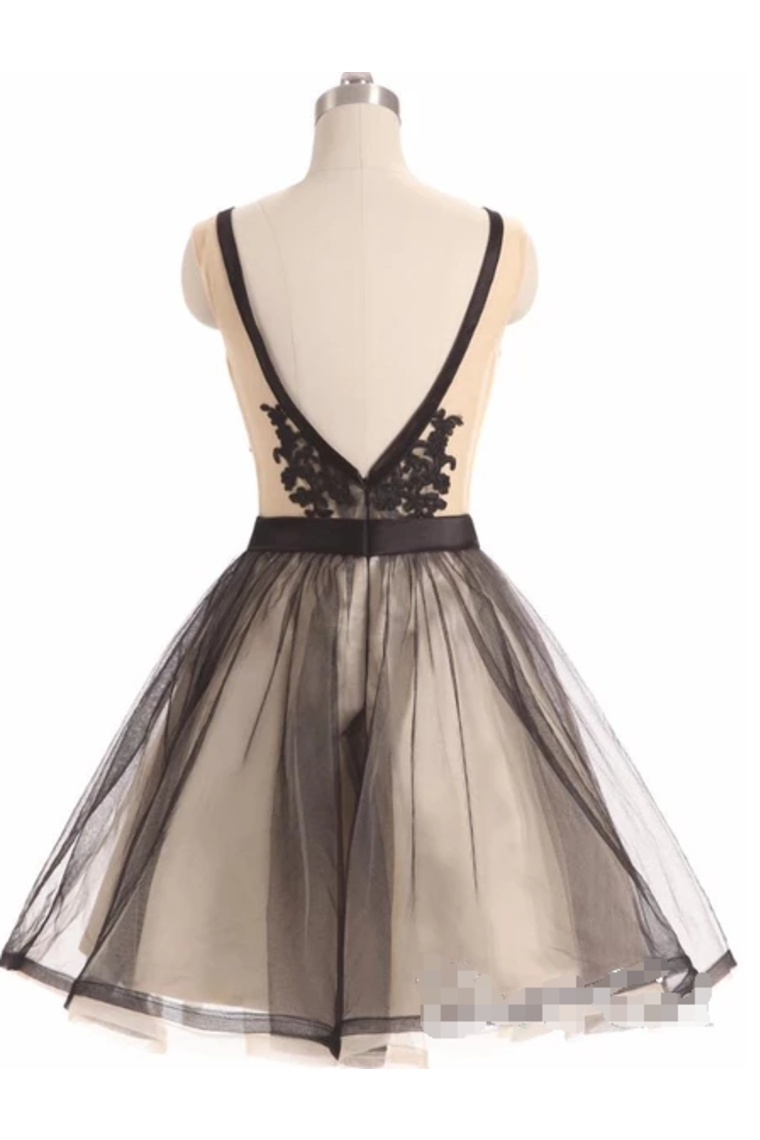 See Through Black Lace Short Dresses A Line V Neck Vintage Homecoming Dresses