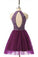 Short Prom Dresses Tulle Prom Gown Purple Homecoming Dress Sexy Prom Dress WK394