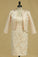 New Arrival V Neck Mother Of The Bride Dresses Sheath Satin With Applique