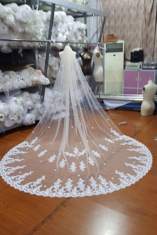 Ivory Lace Tulle Appliques 3D Flowers Wedding Veils WK78